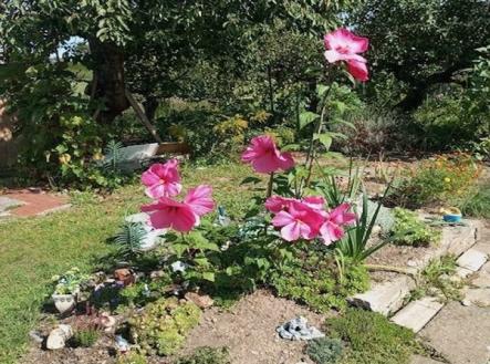 Prodej chaty/rekreačního objektu, 16 m²