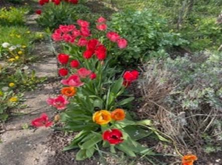 Prodej chaty/rekreačního objektu, 16 m²