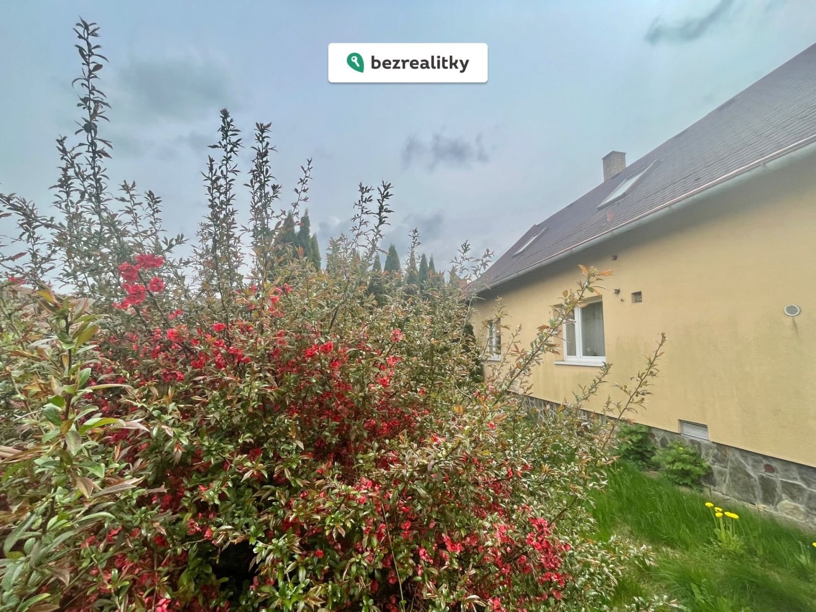 1773159360-jhggyfbzww-img-0810