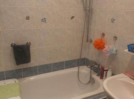 1772731964-gdwqfcvhkq-20260224-192602