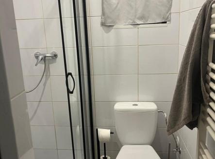 Prodej bytu, 1+1, 35 m²