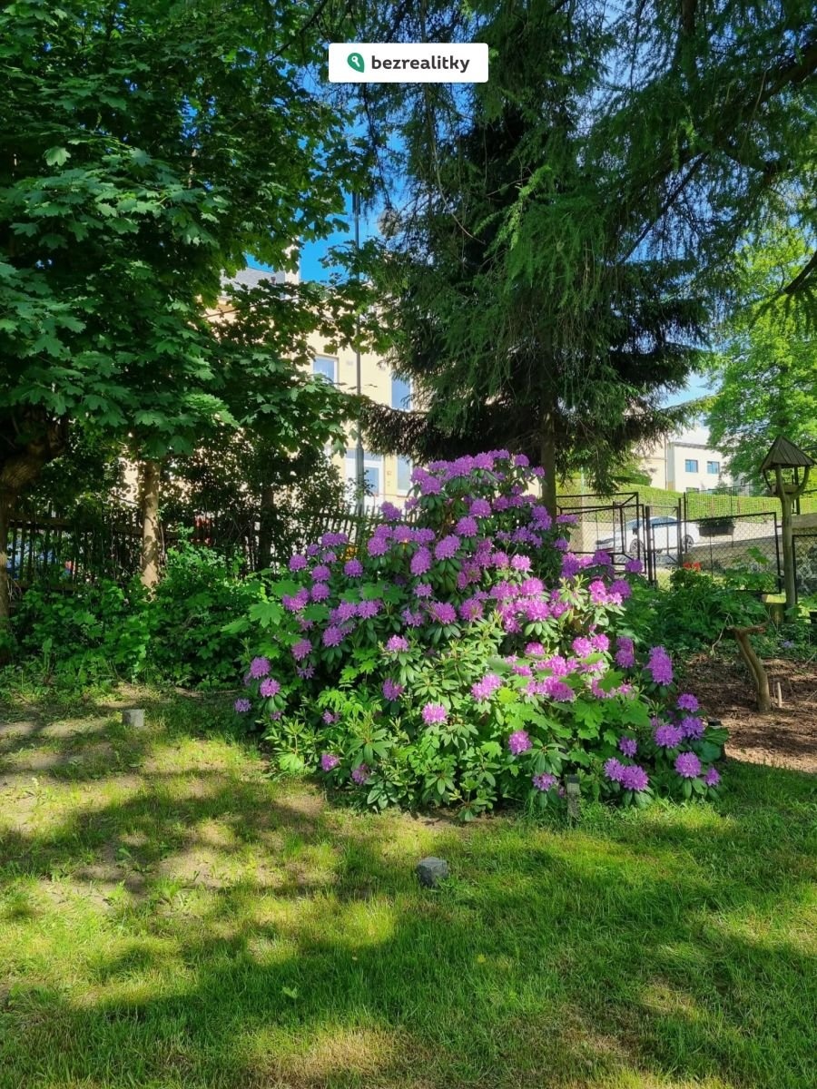 1773672819-vyxxifsfbl-19921