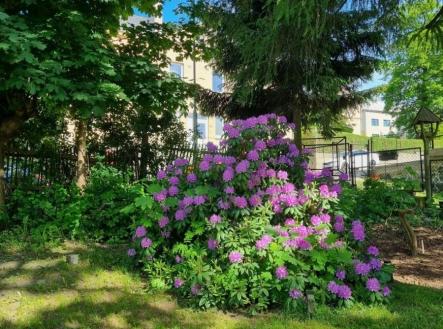 Prodej domu/vily, 154 m²