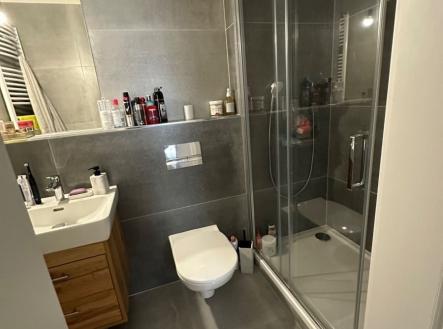 1773702446-zimihtxpip-img-6728