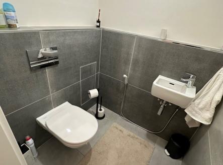 1773702447-ryhcgqephc-img-6754