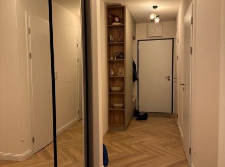 1773702448-bjbdmzccbq-img-6751