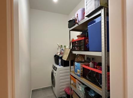 1773702446-rprcfmjwvr-img-6755