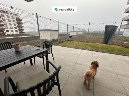 1773702448-kktrywrjts-img-6763