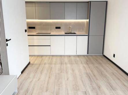 Prodej bytu, 2+kk, 46 m²