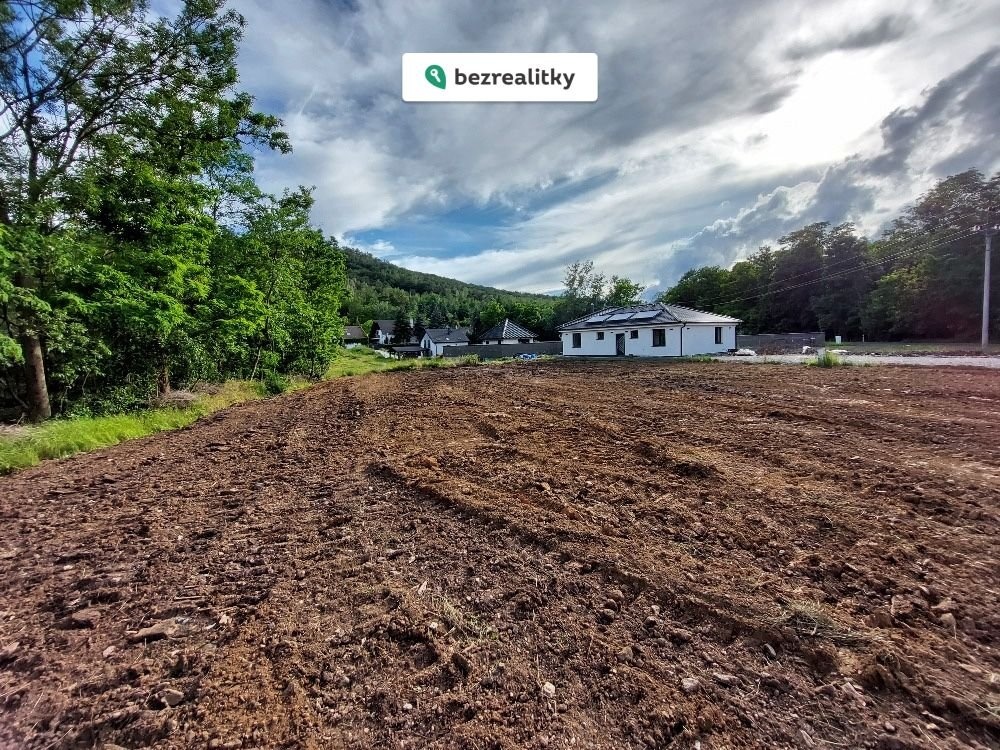 1773732833-npykxosyck-img-7947