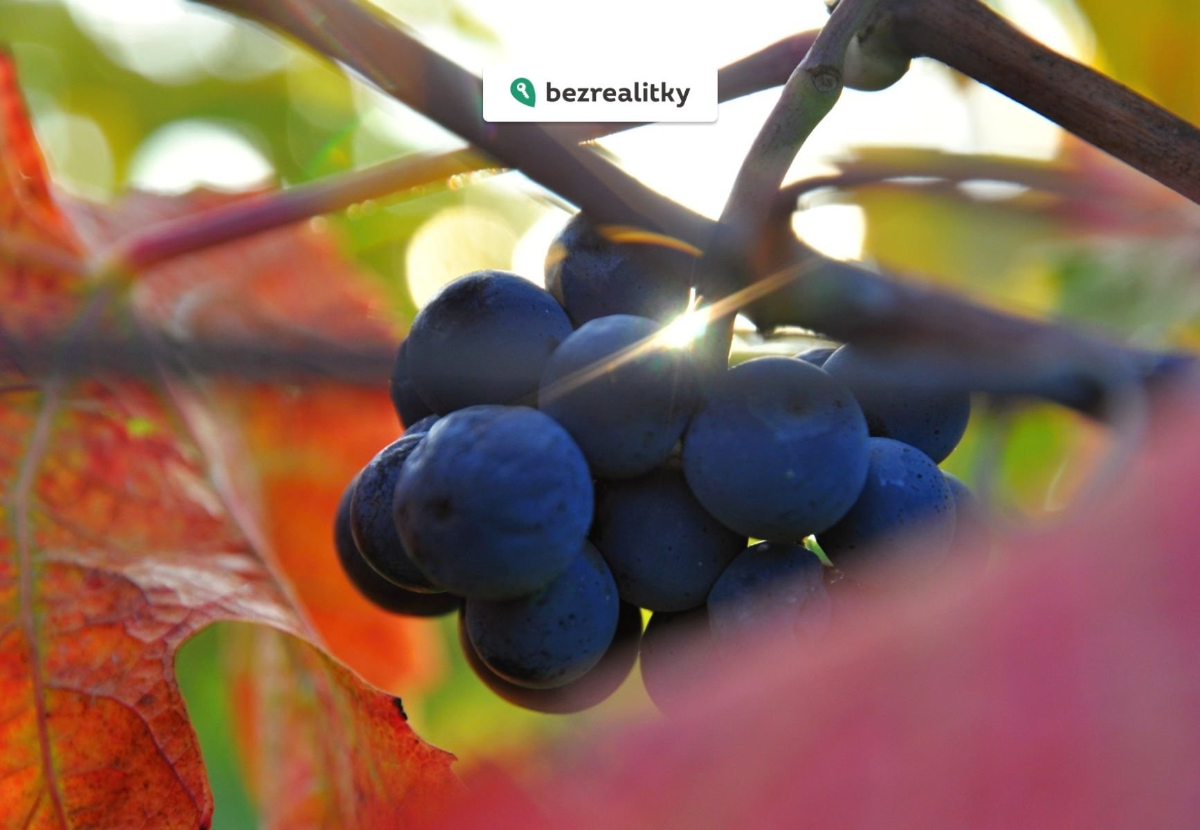 1773840135-krwvlrvgah-026