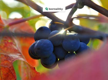 Prodej pozemku, ostatní, 2 219 m²