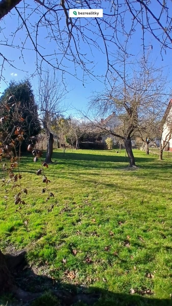 1773851015-kxfzfxgavu-img-20260314-wa0012