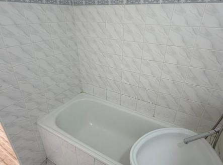 1773858429-rusojxmpzc-byt-050-koupelna