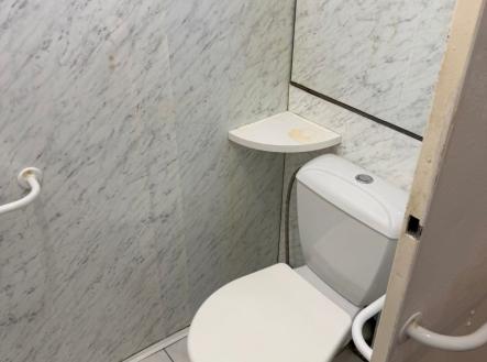 1773858499-zmpxkhrghf-byt-060-wc