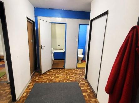 1773908658-ouhmyzftlo-photo-2026-03-19-09-09-44-286-29