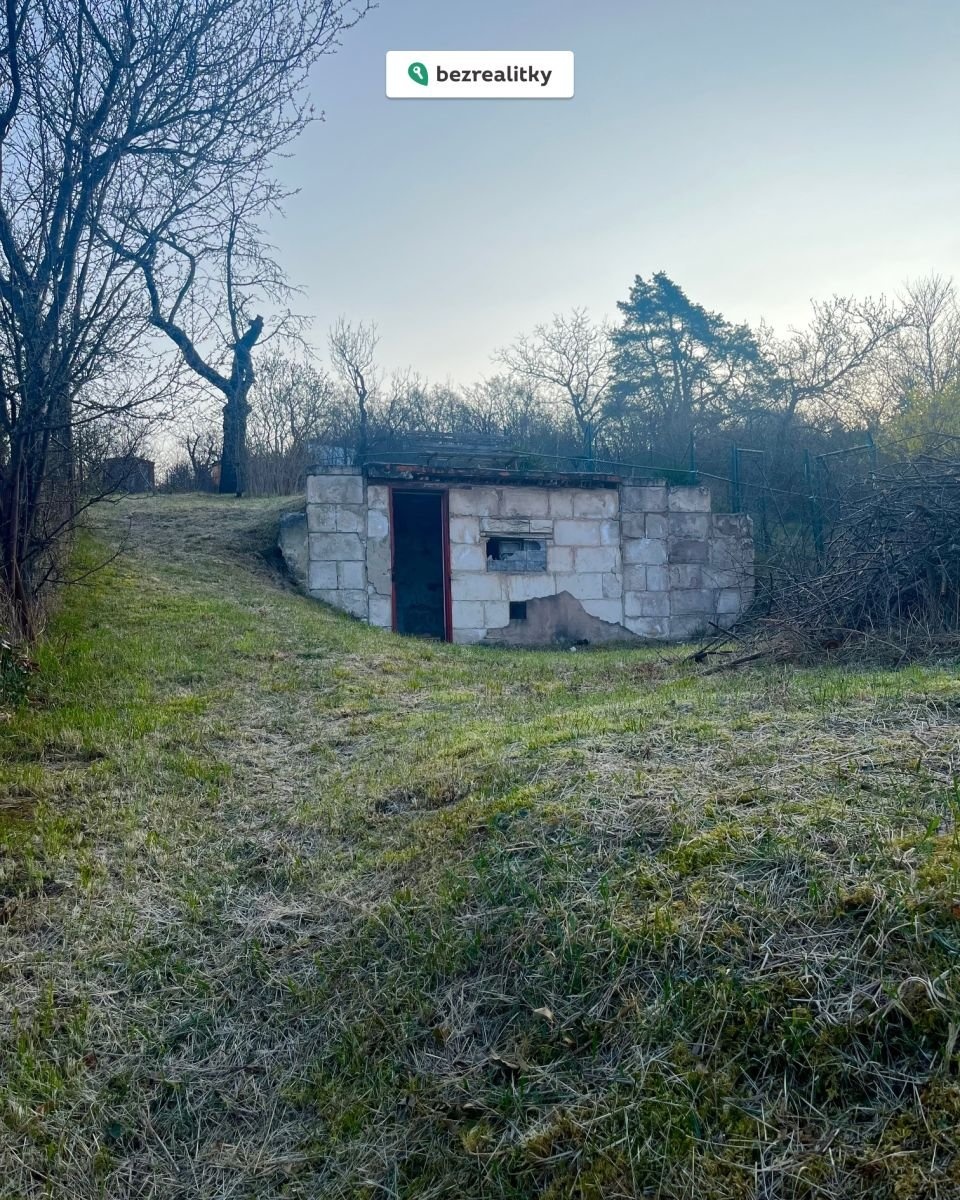 1774078270-fjaacbyhka-img-8498