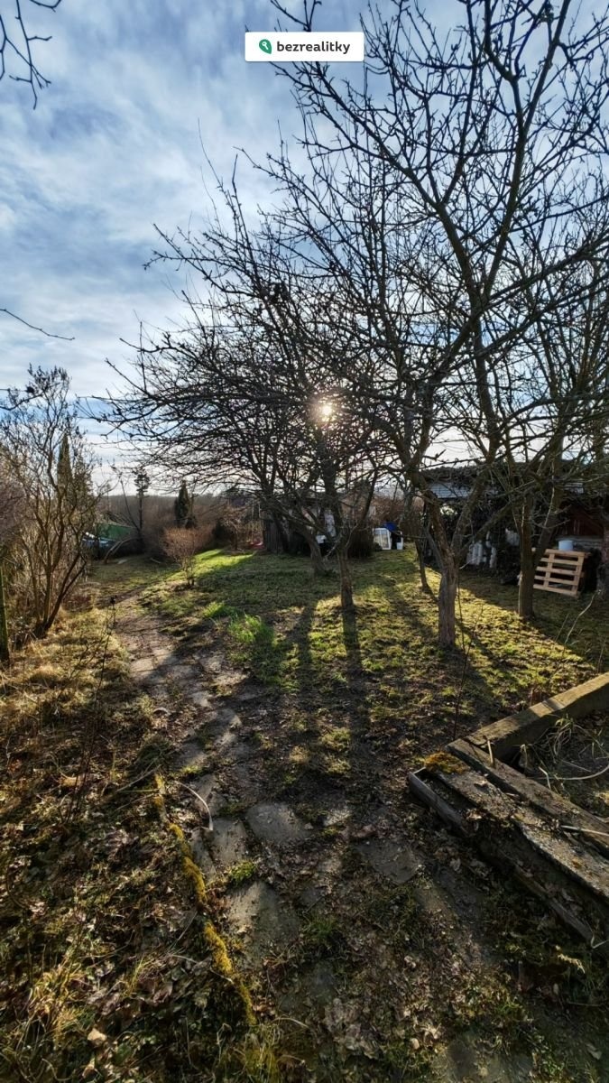 1774089998-zzzalfwaof-img-20260313-164006-edit-114550782504321