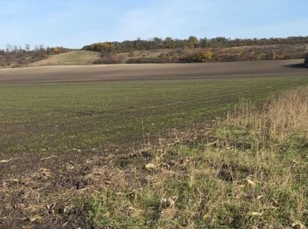 Prodej pozemku, zemědělská půda, 2 534 m²