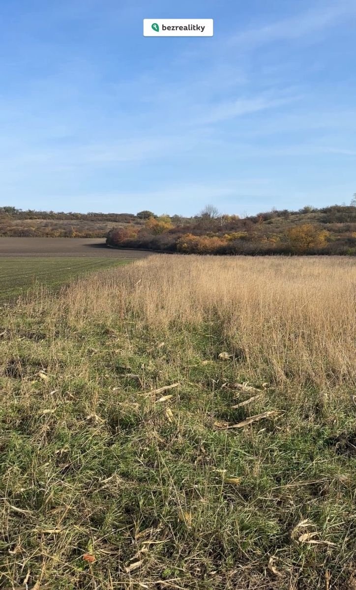 1766940345-qvpwvaipfx-img-7494