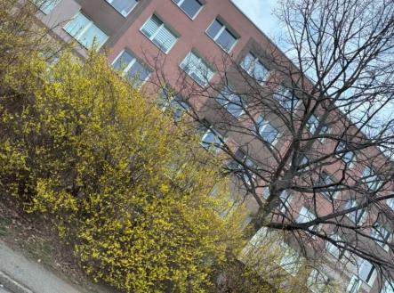 Prodej bytu, 2+kk, 42 m²