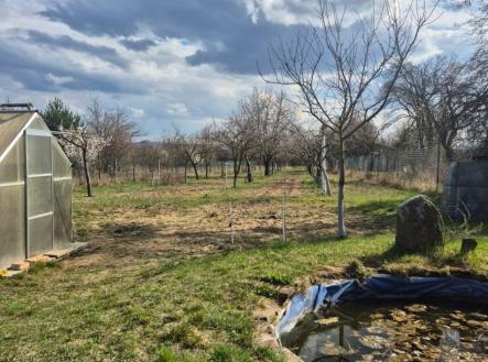 Prodej pozemku, zemědělská půda, 2 950 m²