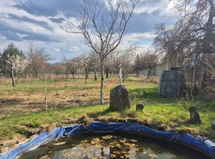 Prodej pozemku, ostatní, 2 950 m²