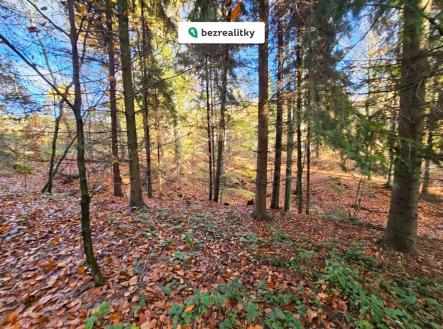 Prodej pozemku, les, 31 850 m²
