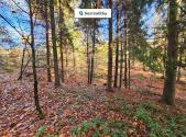 Prodej pozemku, les, 31 850 m²