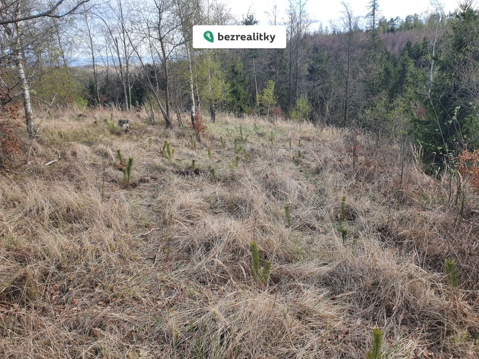 1774441678-mlmstlcgrm-20200414-175634