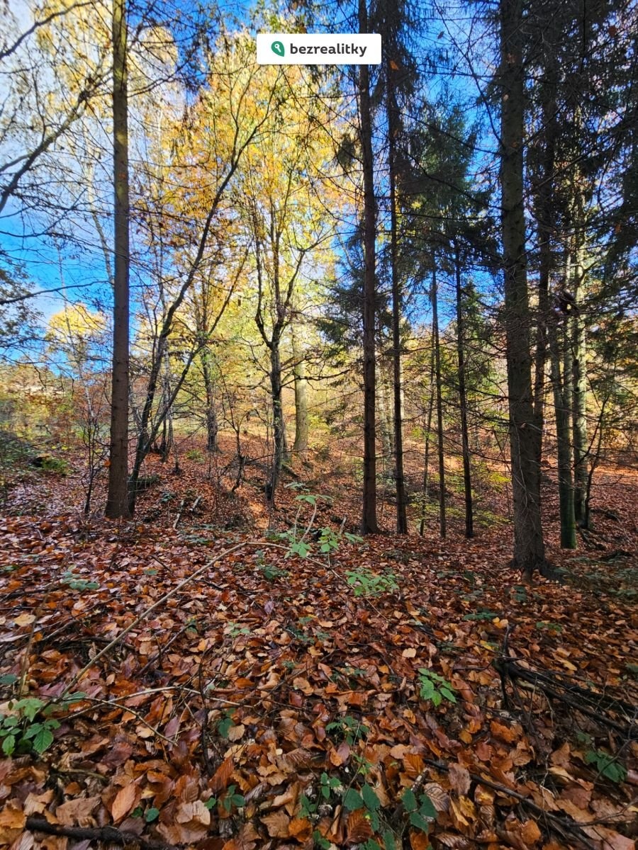 1774441698-usjvtjlhfi-20231112-113120