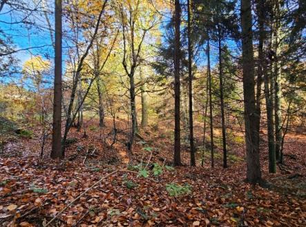 Prodej pozemku, les, 31 850 m²