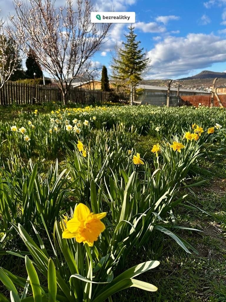 1774473666-tslvafxaxn-1000022751