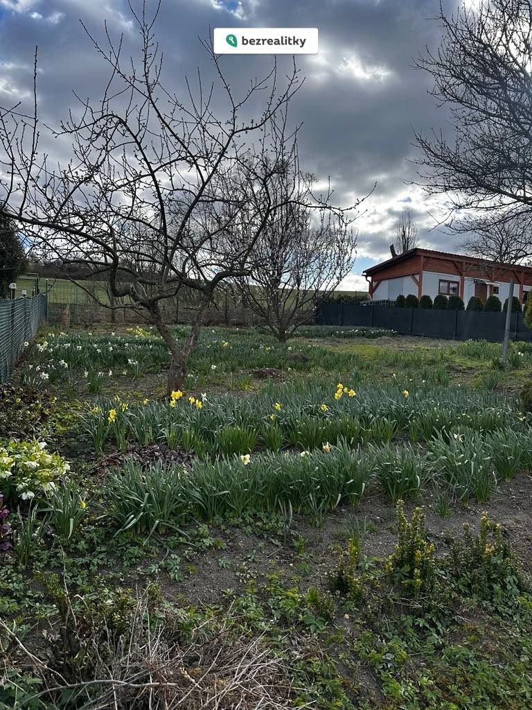 1774473666-olejnhcbyp-1000022759