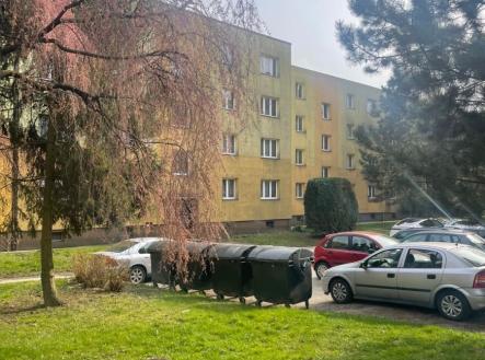 1774467654-ztqqfczvtb-img-4080