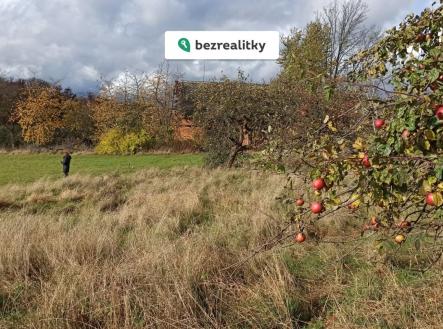 Prodej pozemku, ostatní, 29 562 m²