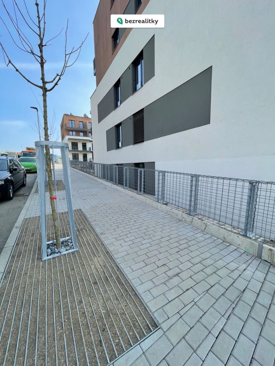 1774797043-frahsixqxo-img-5356