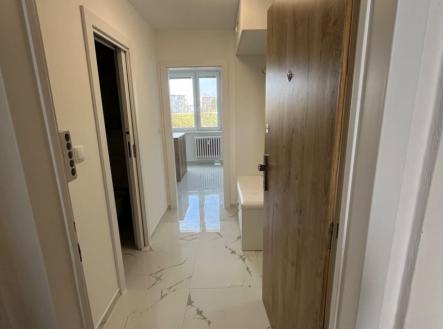 Prodej bytu, 1+kk, 42 m²