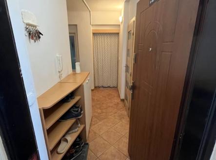 Prodej bytu, 3+kk, 51 m²