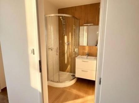 Prodej bytu, 2+kk, 40 m²