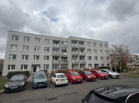 1775405476-bqquehjuge-img-9777