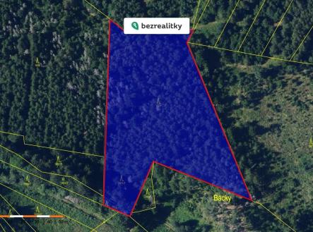 Prodej pozemku, les, 13 632 m²