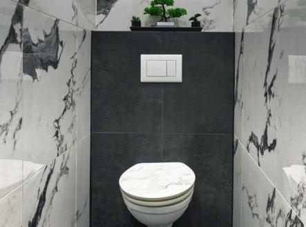 1775833350-zdplphvkbr-wc-1