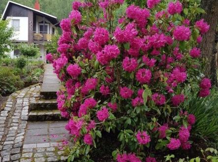 Prodej chaty/rekreačního objektu, 40 m²