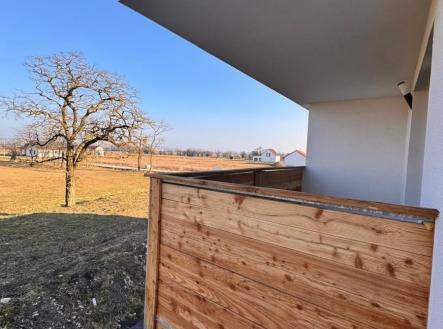 1776581168-czdmelmidc-1000025583