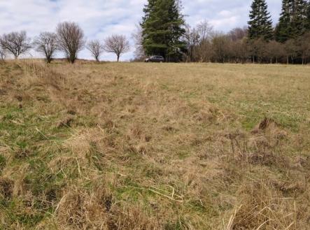 Prodej pozemku pro bydlení, 4 638 m²