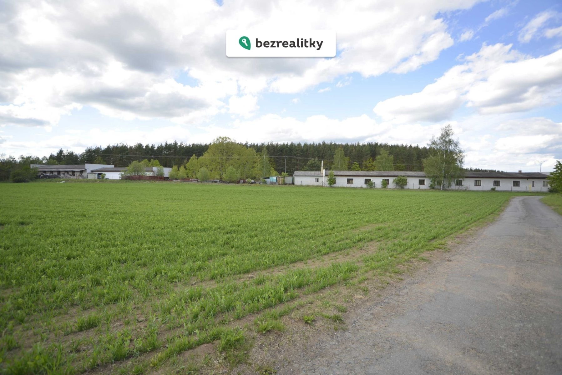 1734363205-whsughyfzi-haly