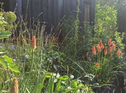 Prodej chaty/rekreačního objektu, 25 m²