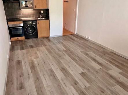 Prodej bytu, 1+kk, 30 m²