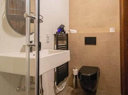 Prodej bytu, 6+kk, 224 m²